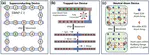 Quantum Compiler Design for Qubit Mapping and Routing: A Cross-Architectural Survey of Superconducting, Trapped-Ion, and Neutral Atom Systems